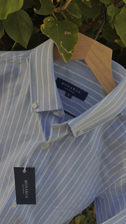 Slim Fit Striped Oxford Shirt